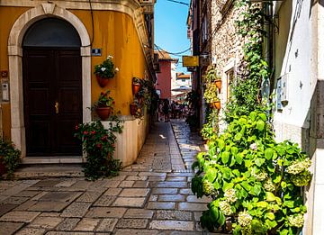 Vieille ruelle dans la ville de Porec en Croatie sur Animaflora PicsStock