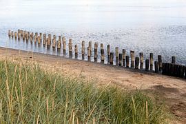 Protection de la côte près de Keitum sur l'île de Sylt