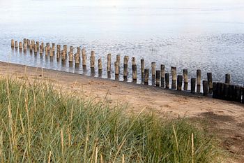 Buhnen als Küstenschutz bei Keitum auf Sylt