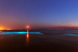 Seefunke von Monique van Genderen (in2pictures.nl fotografie)