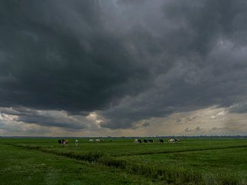 Koeien in de polder van Eemnes met enorm dreigende wolkenlucht van Robin Jongerden