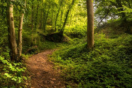 Zicht op de bestemming.