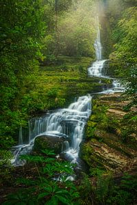 Neuseeland Südinsel Catlins Wasserfall von Jean Claude Castor