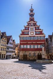 BADE-WURTEMBERG : ESSLINGEN AM NECKAR