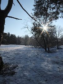 Landgoed Den Treek