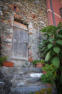 Vernazza, Cinque Terre van Kramers Photo