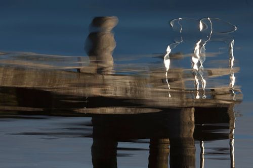 Vertroebeld beeld von Ina Hoekstra