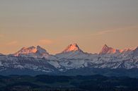 Berner Alpen im Morgenlicht Sonnenaufgang von Martin Steiner Miniaturansicht