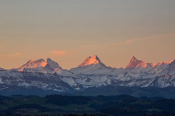 Alpes bernoises dans la lumière du matin au lever du soleil
