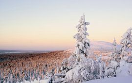 Finnish Lapland in winter atmosphere overlooking the valley.