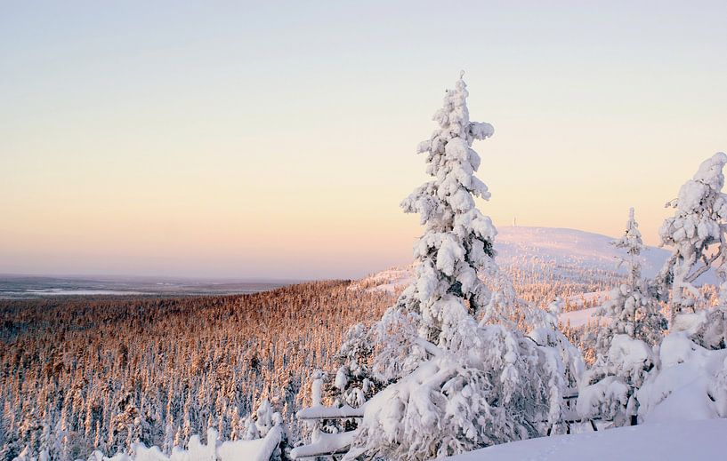 Fins Lapland in wintersfeer met uitzicht over het dal. van Birgitte Bergman