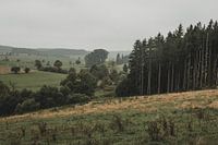 50 tinten groen