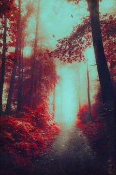 Enchanted Forest path van Dirk Wüstenhagen
