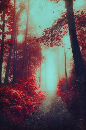 Verwunschener Weg