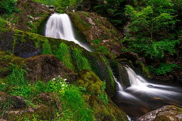 Het groen rond de Triebergse waterval van Christian Klös