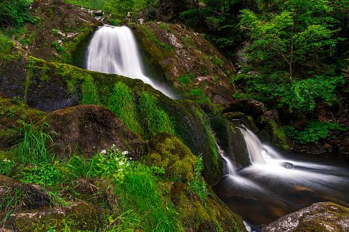 Het groen rond de Triebergse waterval