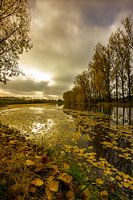 Ontwakend landschap