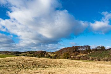 Landscape on the island Moen in Denmark