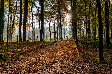 Au puits de Drakensteyn en automne. sur Don Fonzarelli