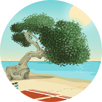 Dividivi Boom op Arubaans Strand van Eduard Broekhuijsen