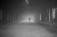 Rainy Road Biker