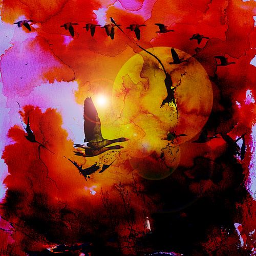 DUOVLUCHT OVER DE LAVAZEE