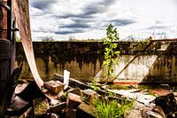 Bouwvallige muren en nieuw leven - de natuur verovert de verloren plek