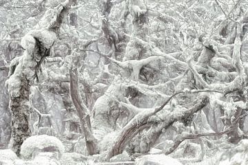 Winterman van Lars van de Goor