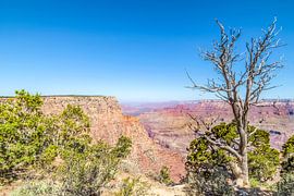 GRAND CANYON Navajo Point Distant View by Melanie Viola