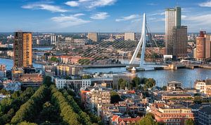 Rotterdam Skyline