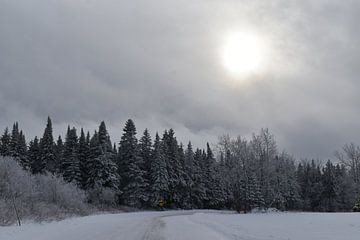 A grey winter day by Claude Laprise