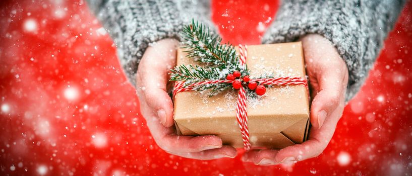 Christmas joy by Poster Art Shop