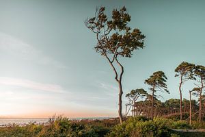 Weststrand