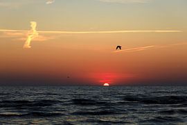 Baltic Sea at sunrise
