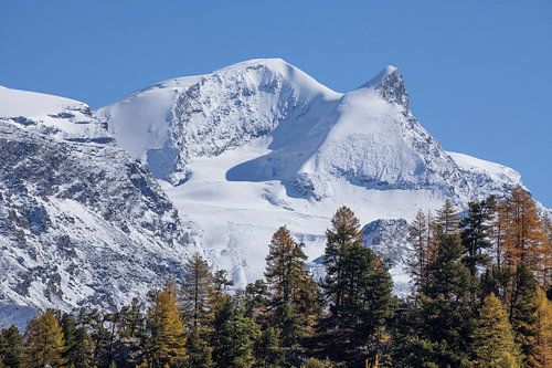 Findelntal mit Strahlhorn und Adlerhorn  Zermatt, Schweiz