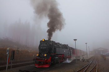 Le Brockenbahn dans le brouillard à la station de Schierke (2)