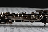 Klarinet met muziekblad van Anita Visschers thumbnail