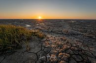 De Friese waddenkust van lars Bosch thumbnail