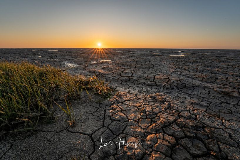 De Friese waddenkust van lars Bosch
