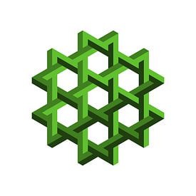 Penrose Hexagon Vert sur Leeuwen Werk