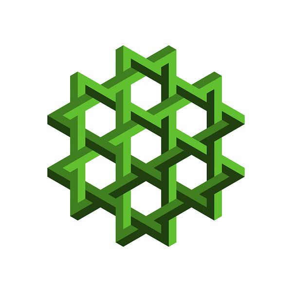 Penrose Hexagon Vert par Leeuwen Werk