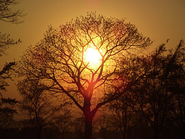zonsondergang