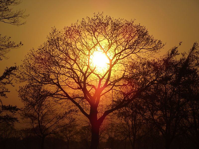 zonsondergang by Geert Heldens
