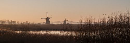 Kinderdijk 14