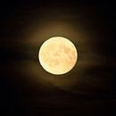 Full moon shining bright in dark night van wunderbare Erde thumbnail