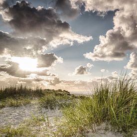 Sunlight I by Axel Ellerhorst