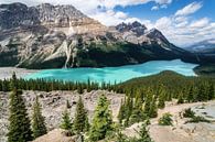 Peyto Lake von Loris Photography Miniaturansicht