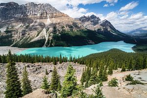 Peyto Lake sur Loris Photography