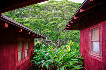 Dort drüben auf Hawaii steht ein rotes Haus
