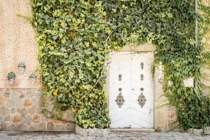 Klimop tegen muur met mooie oude deur van Evelien Oerlemans